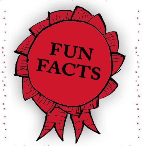 10 Fun Facts about Orang-utans