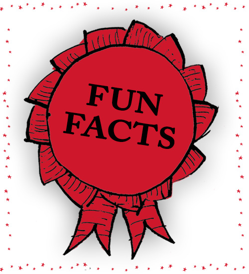 10 Fun Facts about Orang-utans
