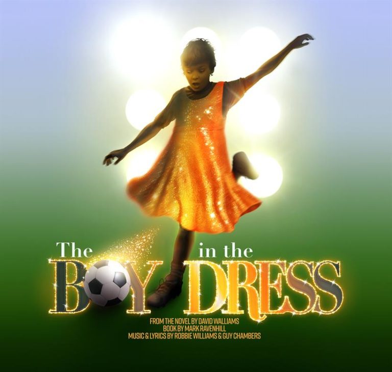 The Boy in the Dress The World of David Walliams