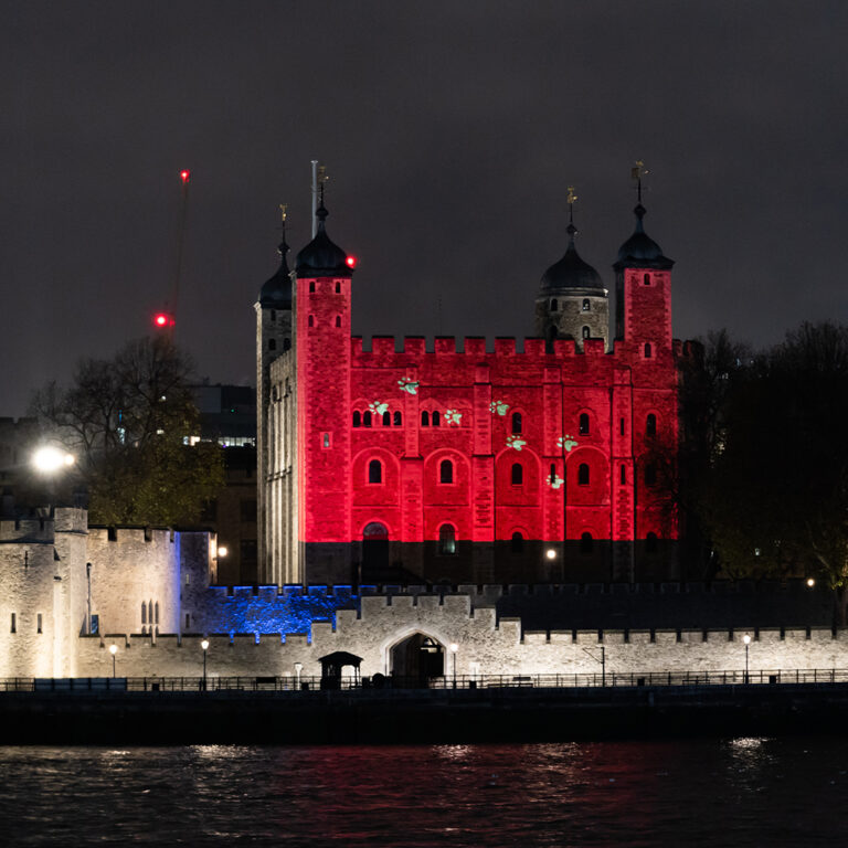Black Cat takes over the Tower of London!